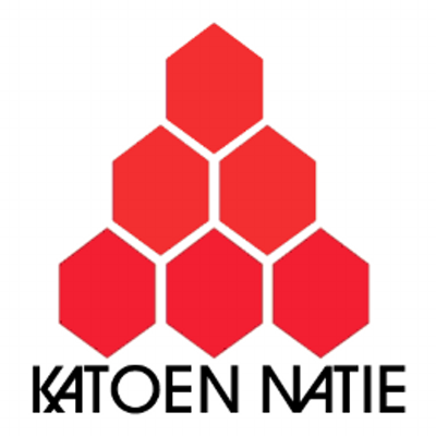 Gilles Lambert <br> Katoen Natie Logistyka